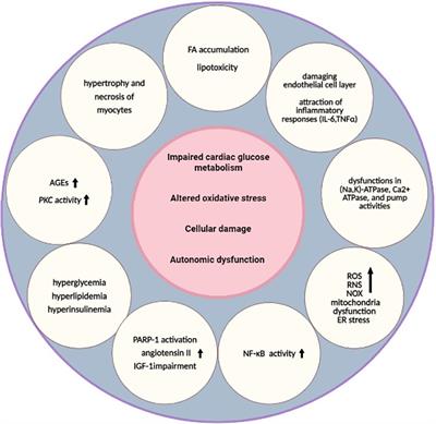 Diabetes and Heart Failure: Multi-Omics Approaches